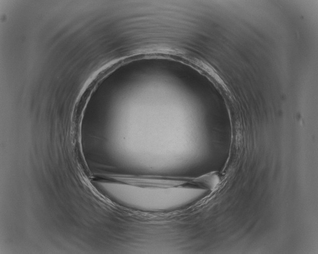 X0000081461116200702021800