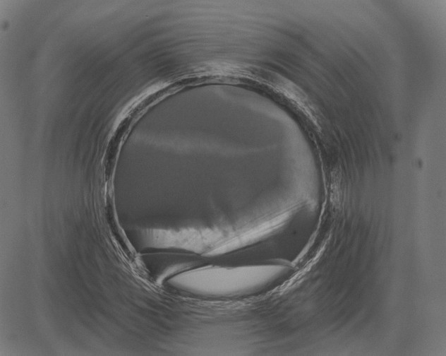 X0000081461117200702021800