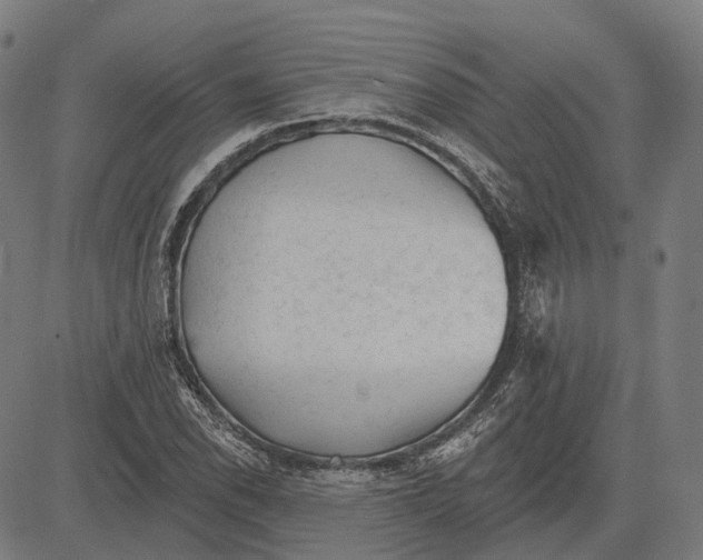 X0000081461118200702021800