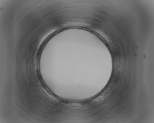 X0000081461119200702021800