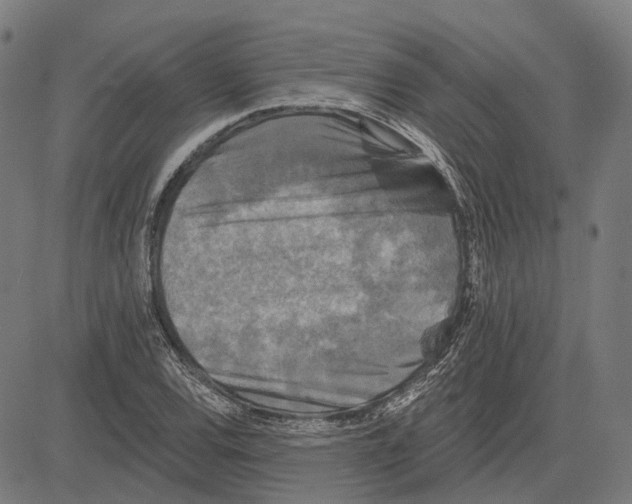 X0000081461120200702021800