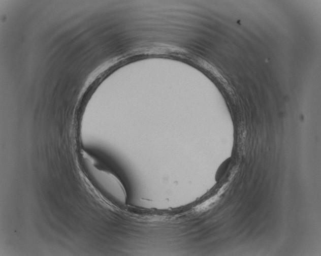 X0000081461122200702021800