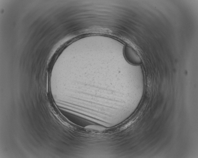 X0000081461123200702021800