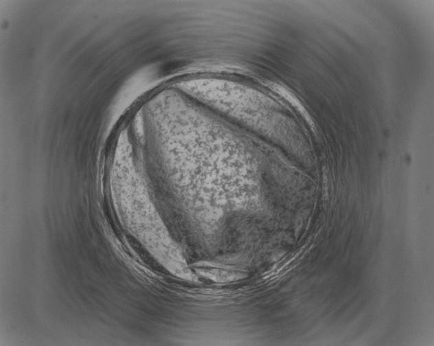 X0000081461124200702021800