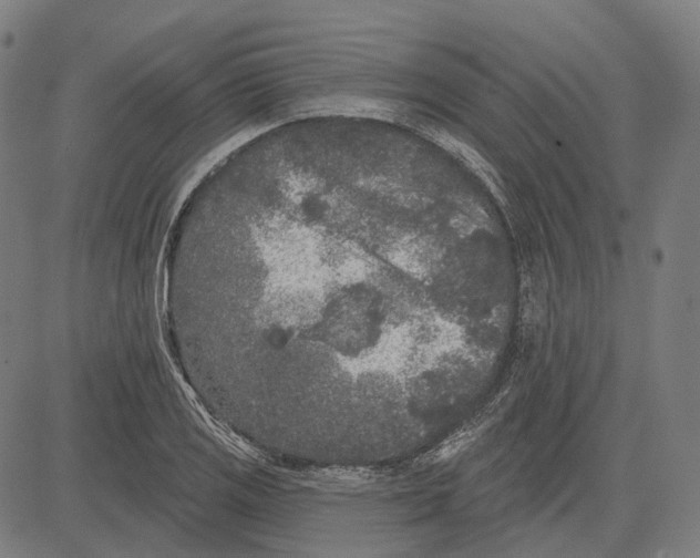 X0000081461125200702021800