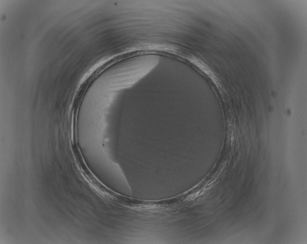 X0000081461127200702021801