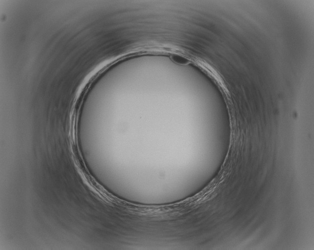 X0000081461128200702021801