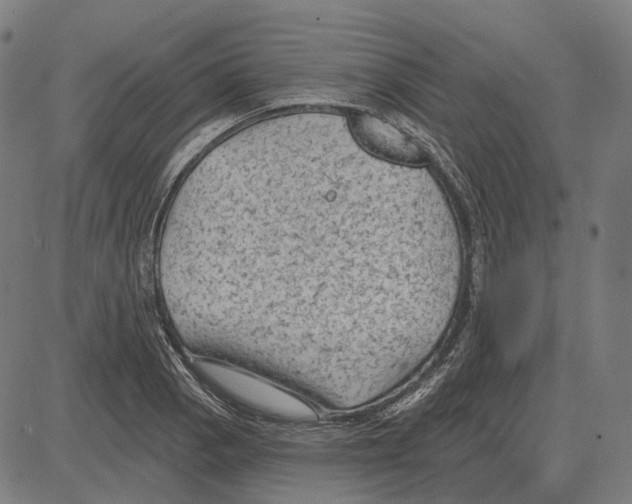 X0000081461129200702021801