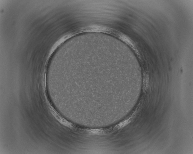 X0000081461130200702021801