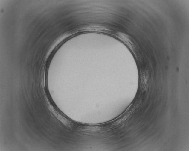 X0000081461131200702021801