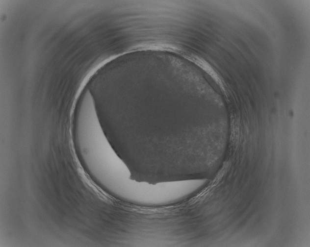 X0000081461132200702021801