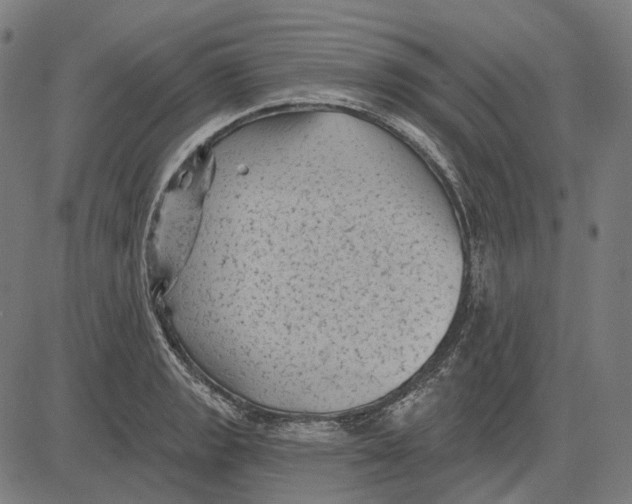 X0000081461133200702021801