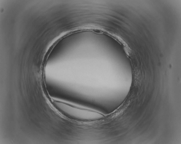 X0000081461134200702021801