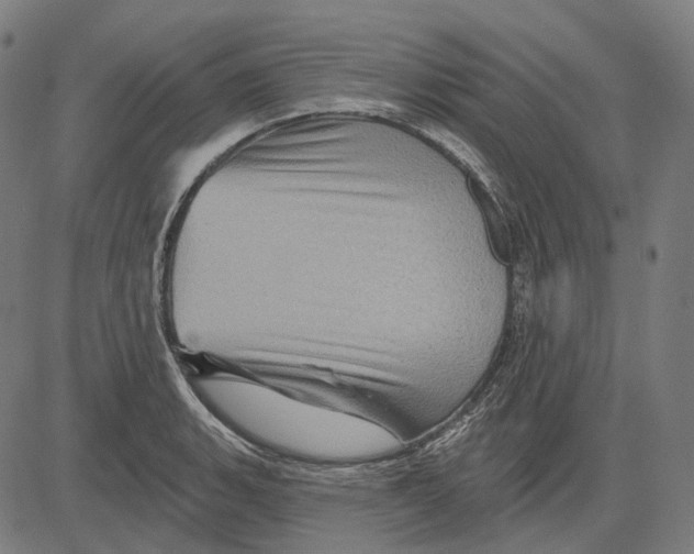 X0000081461135200702021801