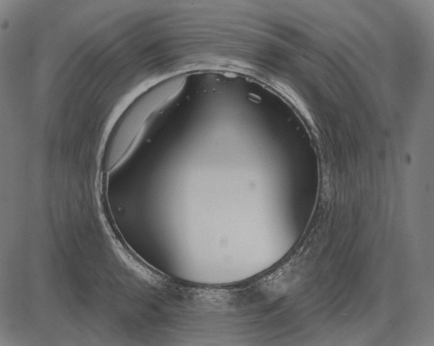 X0000081461136200702021801