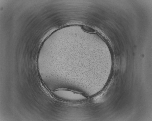 X0000081461137200702021801