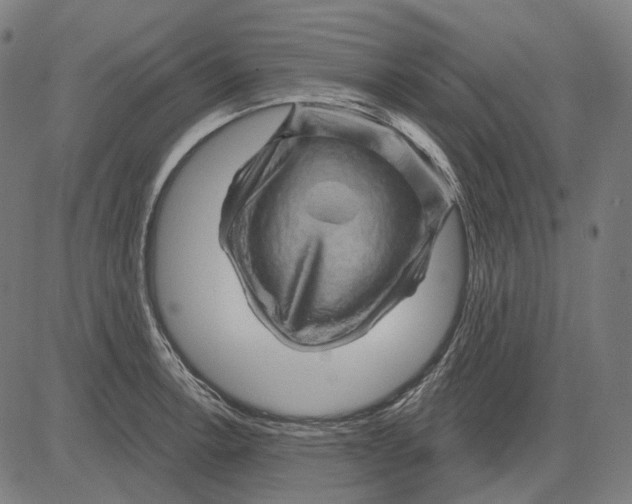 X0000081461138200702021801