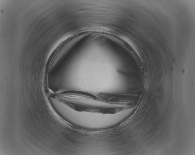 X0000081461139200702021801