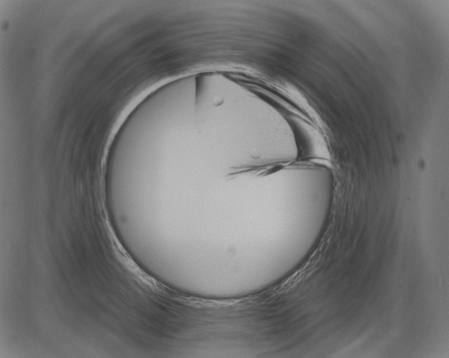 X0000081461140200702021801