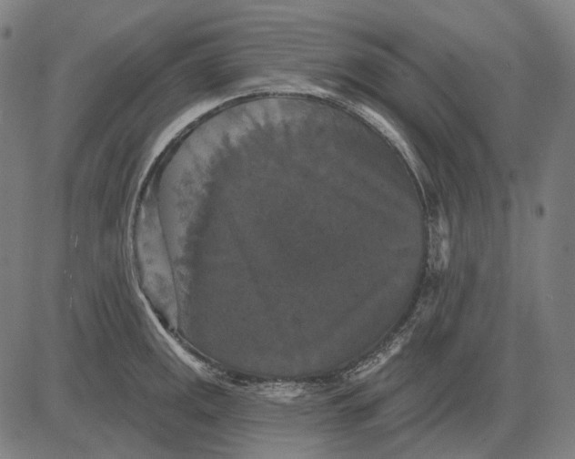 X0000081461141200702021801