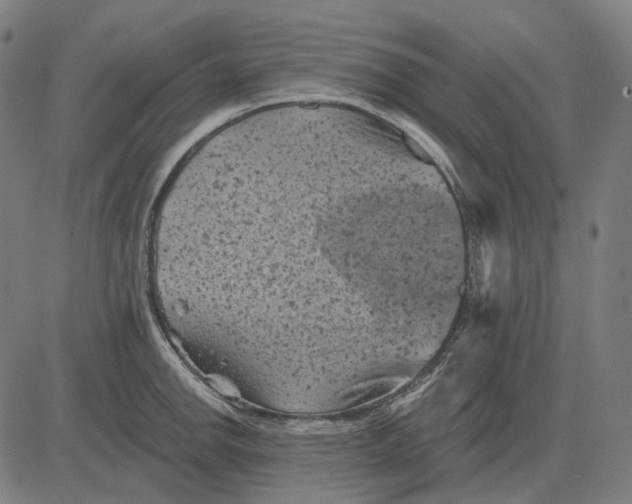 X0000081461142200702021801