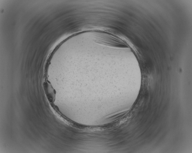 X0000081461143200702021801