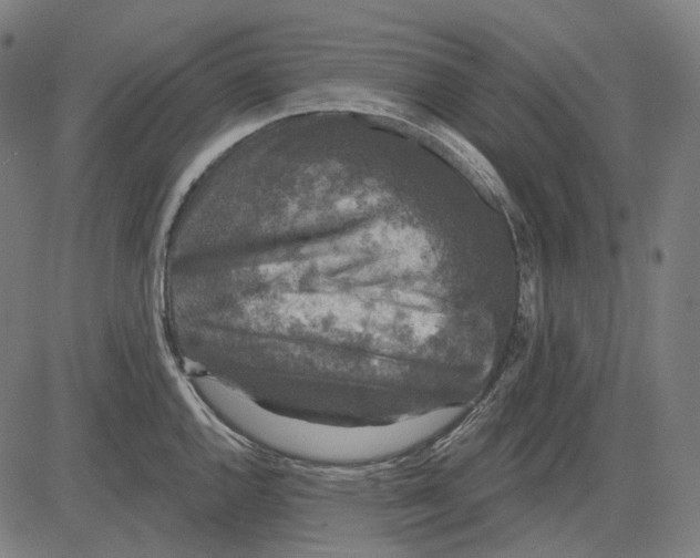 X0000081461144200702021801