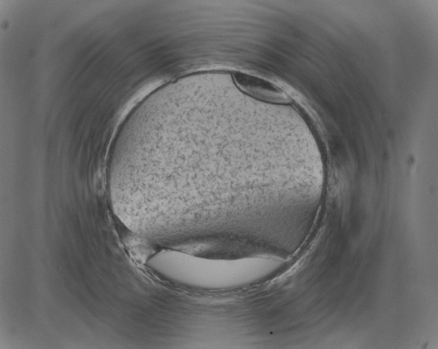 X0000081461145200702021801