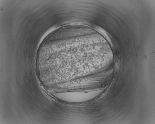 X0000081461146200702021801