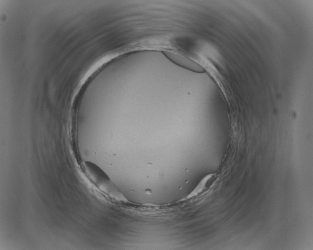 X0000081461147200702021801