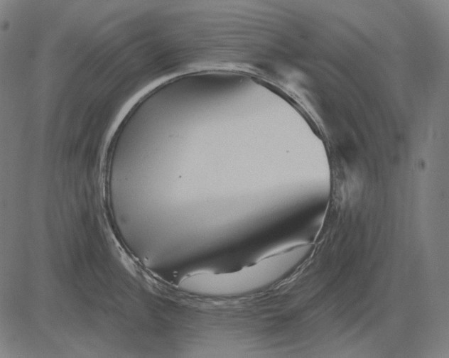 X0000081461148200702021801