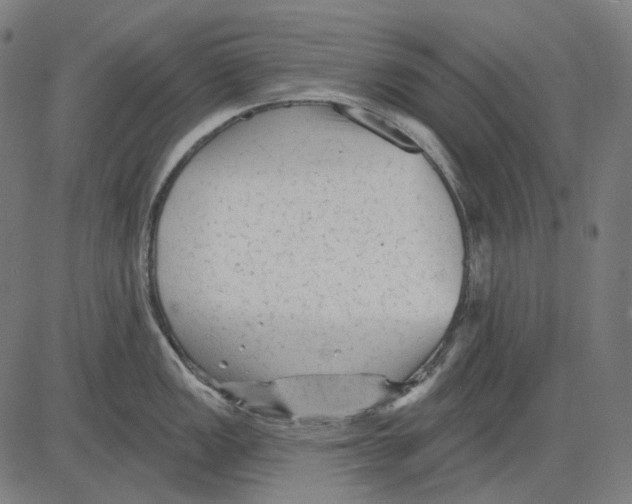 X0000081461149200702021801