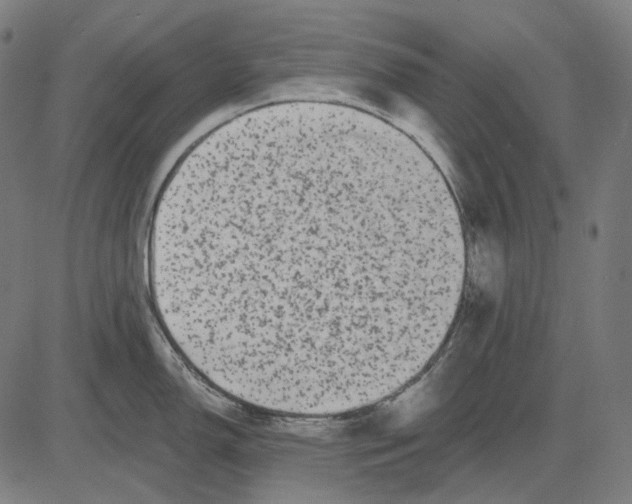 X0000081461150200702021801