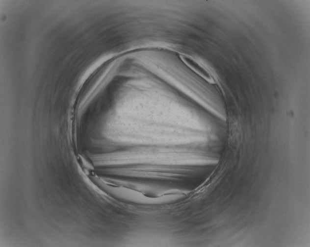 X0000081461151200702021801