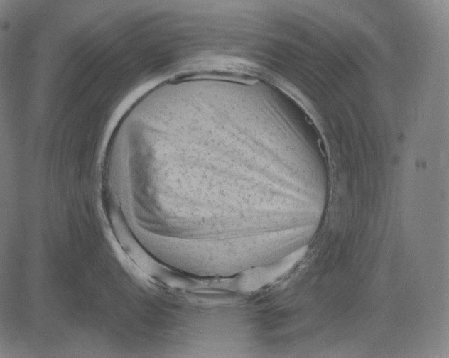 X0000081461152200702021801