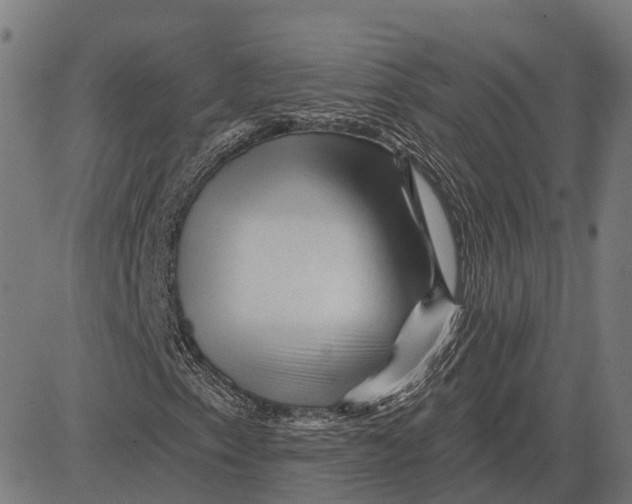 X0000081461153200702021800