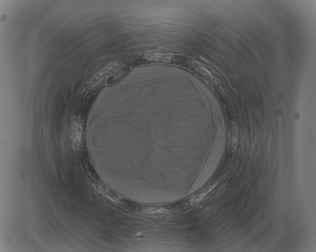 X0000081461154200702021800