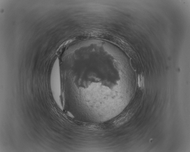 X0000081461155200702021800