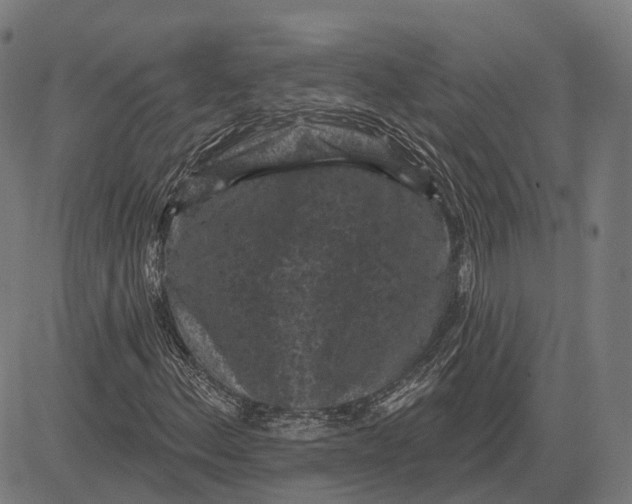 X0000081461156200702021800