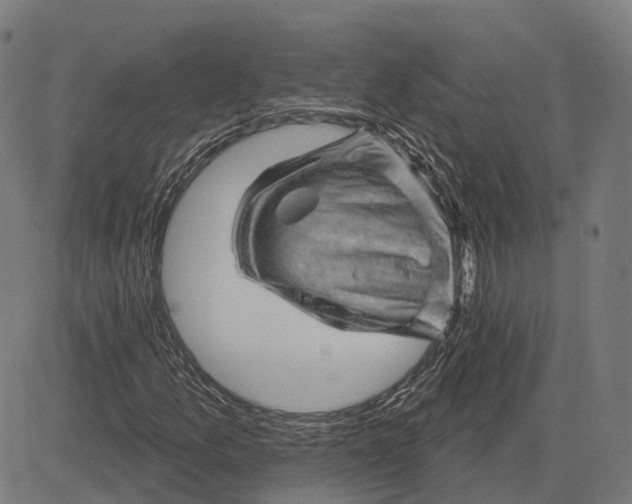 X0000081461157200702021800