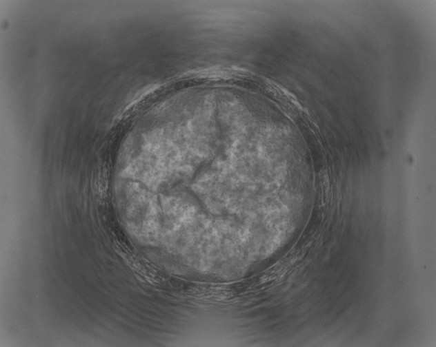 X0000081461158200702021800