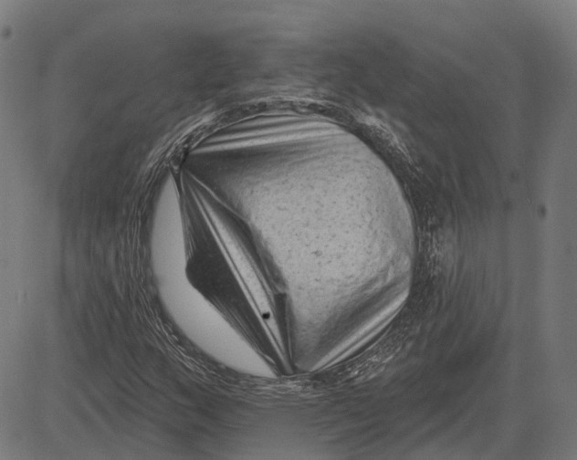 X0000081461159200702021800