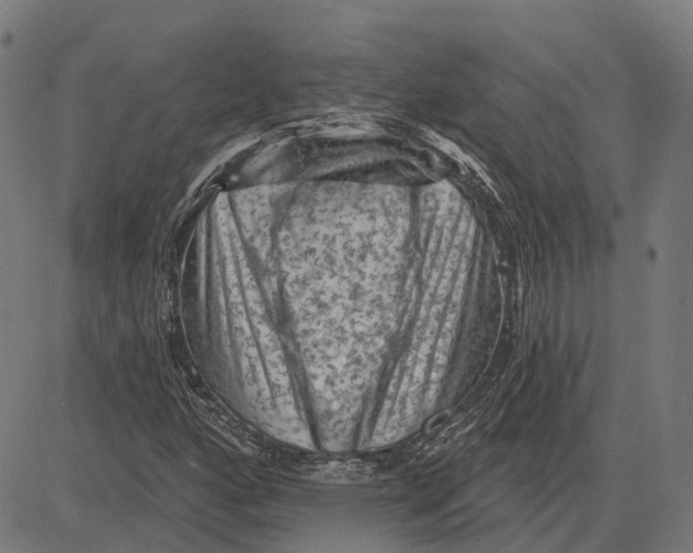 X0000081461160200702021800