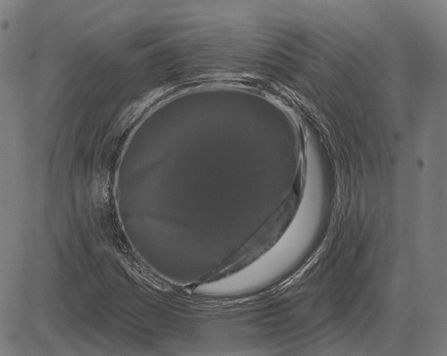 X0000081461161200702021800