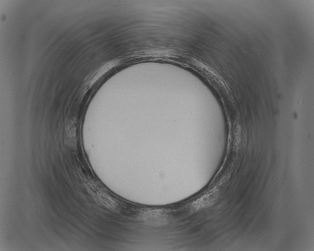 X0000081461162200702021800