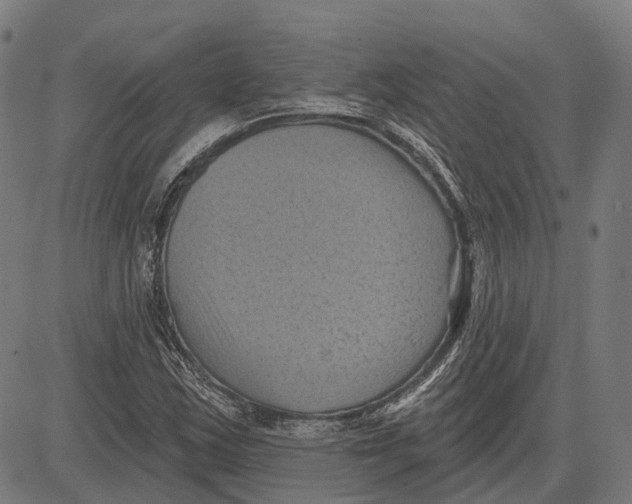 X0000081461163200702021800