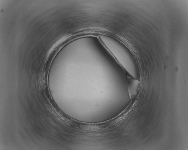 X0000081461164200702021800