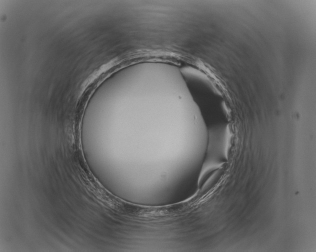 X0000081461165200702021800