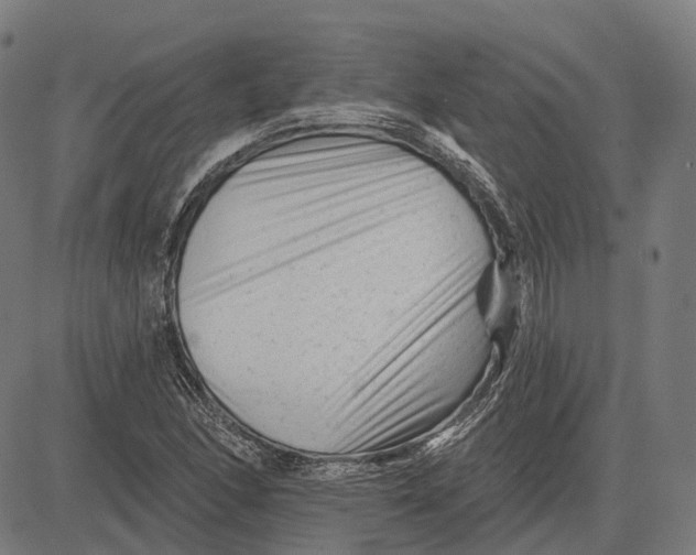 X0000081461166200702021800