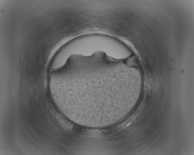 X0000081461167200702021800